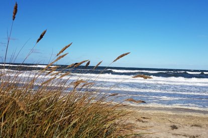Urlaub an der Ostsee Urlaub an der Ostsee